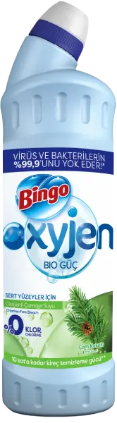 ÇAM